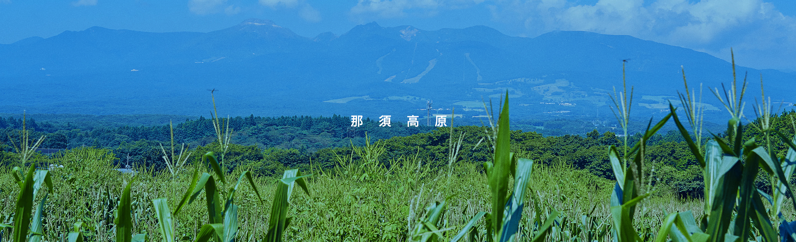 NASU PLATEAU